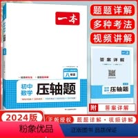 数学 八年级/初中二年级 [正版]2024初中数学压轴题 八年级全一册初中数学几何模型函数等压轴题一题多解法学霸解题辅助
