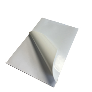 SCSANTU ST150-100 标签胶贴 150mm*100mm 1.00 张/卷 (计价单位:张) 白色