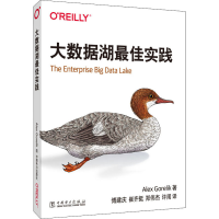 醉染图书大数据湖实践9787519845902