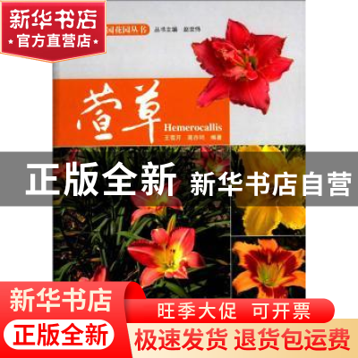 正版 萱草 王雪芹,高亦珂编著 中国林业出版社 9787503875007 书