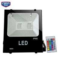 西瑞思- LED投光灯 七彩照树灯带遥控 泛光灯100W XRS-ZSD/个