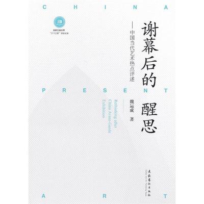 正版新书]谢幕后的醒思-中国当代艺术热点评述魏运成著978750395