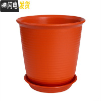 三维工匠仿陶瓷塑料花盆大号加厚阳台绿植创意绿萝盆栽多肉盆 送托盘 高款桃红色 6号[口径30cm]花盆容器
