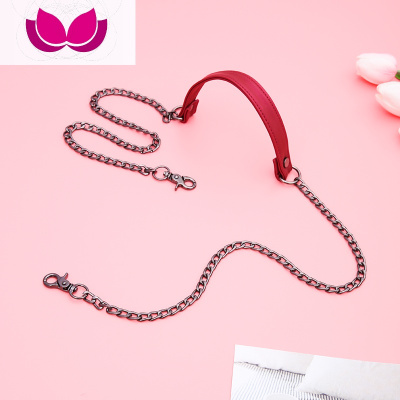 七斓女士包包带子肩带配件带单肩包斜挎背包带金属链条皮配链