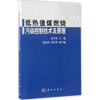 低热值煤燃烧污染控制技术及原理