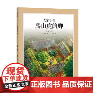 大家小绘系列:爬山虎的脚
