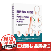 简明激痛点图谱人体图解面头颈部肌肉针灸穴位推拿筋膜手法治疗软组织疼痛运动肌筋膜神经人体理疗师人民卫生出版社临床筋膜学
