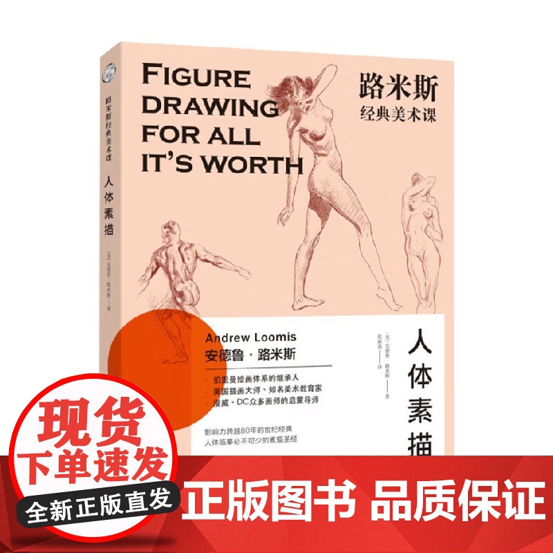西方经典美术技法译丛 路米斯经典美术课 人体素描 安德鲁·路米斯 著 绘画