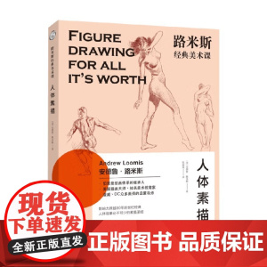 西方经典美术技法译丛 路米斯经典美术课 人体素描 安德鲁·路米斯 著 绘画