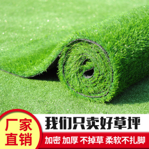 家柏饰(CORATED)仿真坪地毯人皮户外塑料人工绿色装饰植物墙背景绿植垫子