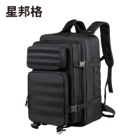 星邦格X1010 双肩背包 黑色(计价单位:个)