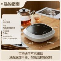 小熊(Bear)迷你电陶炉煮茶炉煮茶器 围炉养生黑茶花茶泡茶蒸茶器不挑器具ZCQ-P12H5