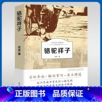 有声伴读-骆驼祥子 [正版]骆驼祥子小学生四五六七年级书原著青少年版初中生老舍原版导读版课外书经典骆驼样子无删减儿童名著