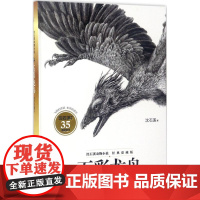 沈石溪动物小说经典爱藏版·五彩龙鸟