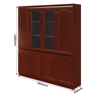 臻远ZY-YGB-05 文件柜油漆贴木皮资料柜书柜