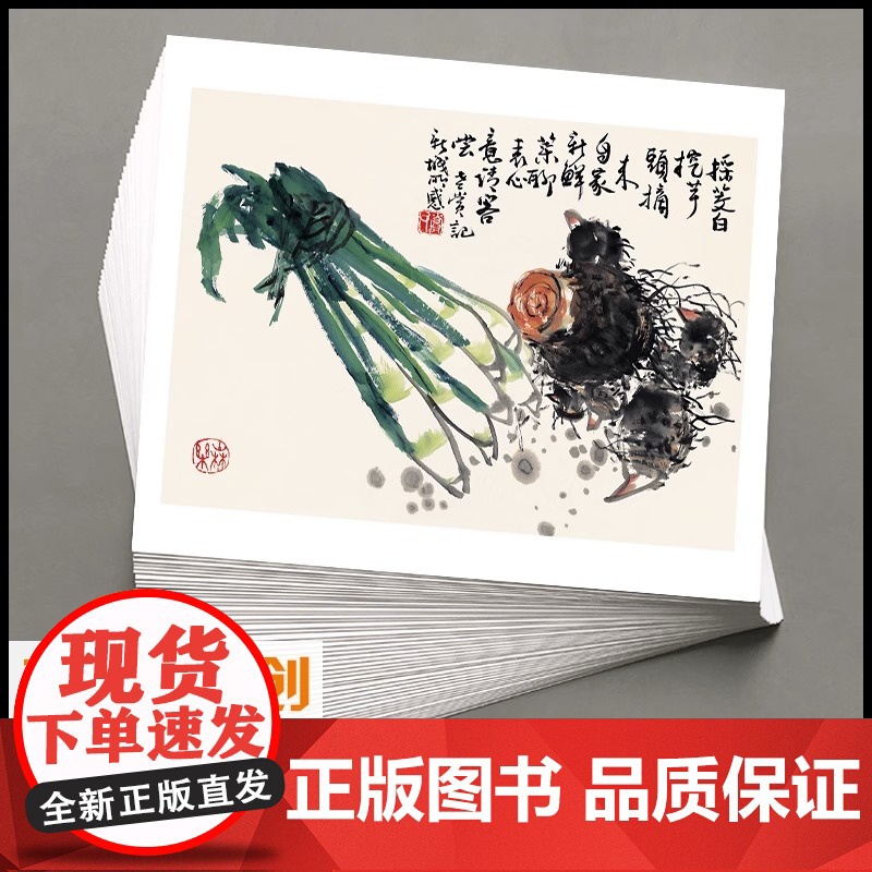 国画临摹卡名师画果蔬鱼虾水墨绘画入门艺术培训教学全套单面36幅高清