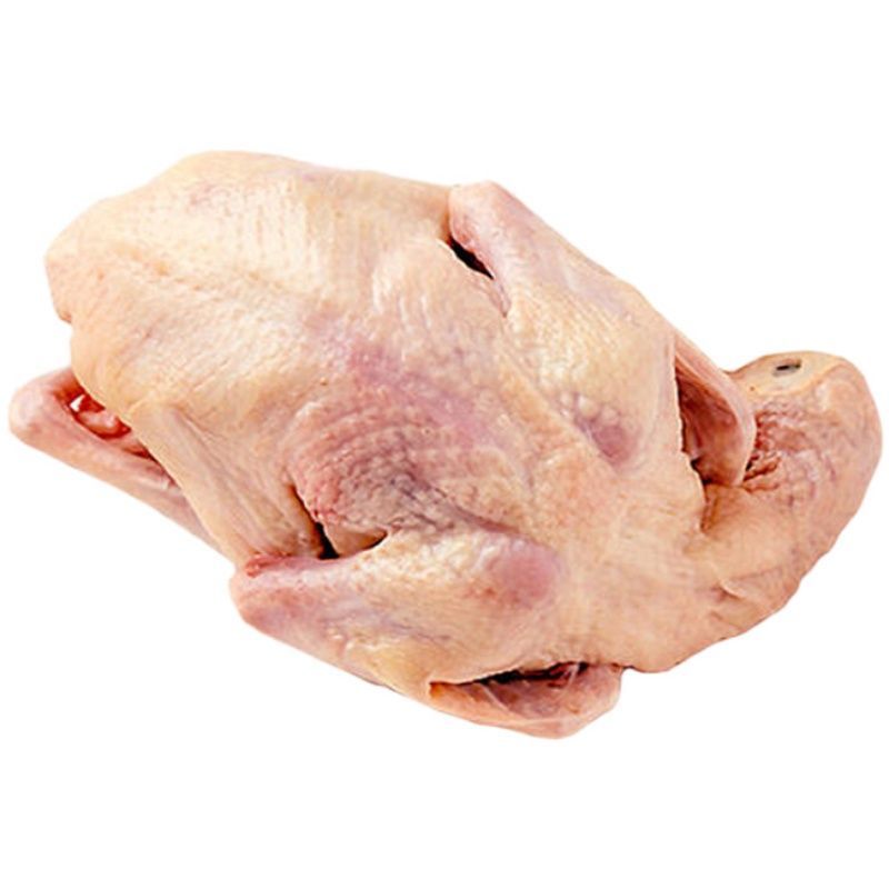 赛卡伊 新鲜冷冻乳鸽肉 农家散养肉鸽子活体老鸽子肉生鲜现杀 5只装