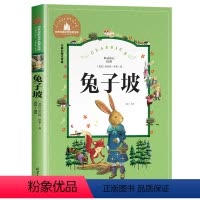 [彩图注音版]兔子坡 [正版]宝葫芦的秘密张天翼 二年级注音版三年级下册课外书必读的经典带拼音 小学生一二年级必看的阅读