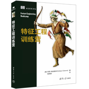 正版新书]特征工程训练营(美)希南·奥兹德米尔 著 殷海英 译9787