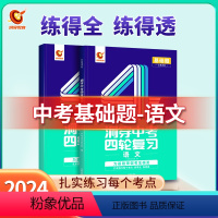 基础题丨语文(全国通用) 初中通用 [正版]2024新版洞穿中考四轮复习数学物理化学全国版英语语文4轮复习中考词汇闪过