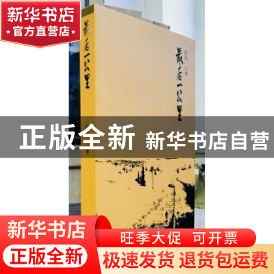 正版 最后一公里 舒风 海南出版社 9787544380706 书籍