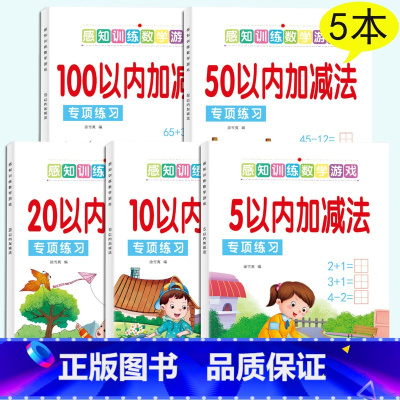 (专项练习)5-100加减法全5本 [正版]幼小衔接每日一练幼儿园拼音描红本字帖幼儿字母练字拼读初学者中班学前班大班练习