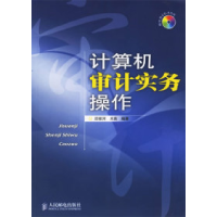 正版新书]计算机审计实务操作邱银河 木 南9787115150776