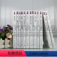 [正版] 中外符号学研究系列丛书 共13册 语言系统历史文化艺术研究