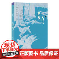 浪花朵朵正版 大作家写给孩子们:青鸟 9岁+ 梅特林克经典著作 森林动物幻想 寓言故事 儿童文学