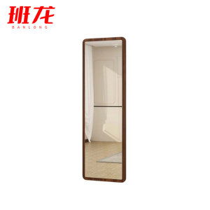班龙穿衣镜60*2*160cm个