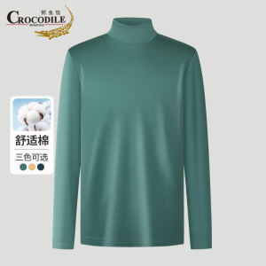 鳄鱼恤CROCODILE 商务青年男士T恤中高领柔软亲肤长袖上衣