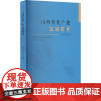 山西焦化产业发展研究 杜小芳 著 山西经济出版社 经济理论、法规 经济理论