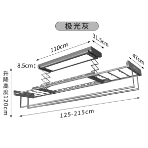 顶固(TopStrong)电动晾衣架T70极光灰照明晾晒一机搞定超薄8.5cm31°创新斜式晾衣杆离线语音晾衣机