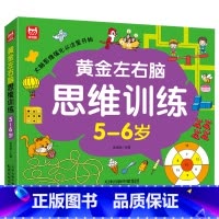 黄金左右脑思维训练5-6岁 [正版]5-6岁儿童全脑开发思维逻辑训练书 左右脑智力大开发游戏书幼儿园早教书奥数启蒙思维训