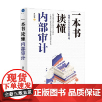 一本书读懂内部审计 孙伟航 著 企业战略发展 运营管理 内控体系 经济