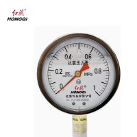 红旗 耐震压力表定制检测款 YTN-100 块