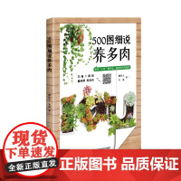 500图细说养多肉 麟仙儿 水淼 编 9787511641175 中国农业科学技术出版社