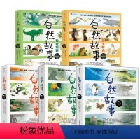 自然故事全5辑 [正版]童书 自然故事(套装共5辑)国际大奖获奖插画家、生物保护学家、著名科普作家等共同创作, 由国际大