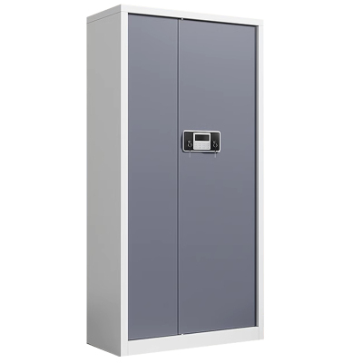 芙瑞塔保密柜90*42*185cm台