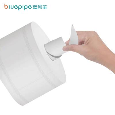 蓝风笛 大卷纸 中心抽700g*12卷 箱(中心抽700g*12卷)