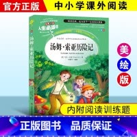 汤姆索亚历险记 [正版]绿野仙踪三四年级课外书必读老师的快乐读书吧木偶奇遇记二年级上册下册课外阅读书籍秘密花园绿山墙的安