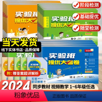 语数英3本[人教版] 六年级下 [正版]2024春实验班提优大考卷小学一年级培优训练试卷测试卷上下册二三四五六语文数学人