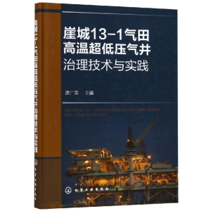 醉染图书崖城13-1气田高温超低压气井治理技术与实践978712425