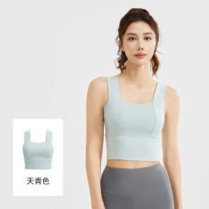 新款运动内衣美背防震聚拢定型固定胸垫健身文胸