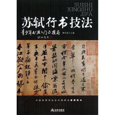 正版新书]苏轼行书技法雅风斋9787508284057