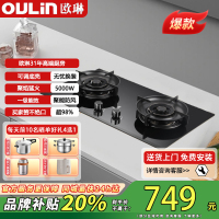 欧琳(OULIN)燃气灶家用 天然气双灶具5.2KW大火力加厚钢化玻璃面板聚能盘燃气灶E3005B