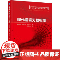 机工 现代漏磁无损检测 黄松岭 孙燕华 康宜华 著