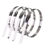 好企来 不锈钢扎带 BZ-0103 8*175mm 100条/包