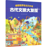 音像惊奇世界专注力大书 古代文明大发现(法)达·范妮