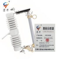 澄开 跌落式熔断器 RW12-12KV/200A/只